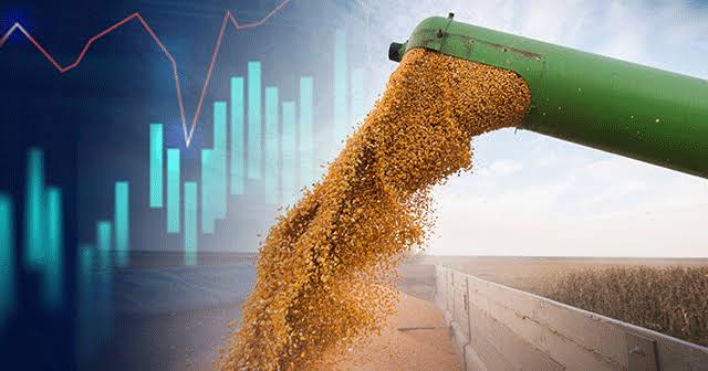 Maize Transfer